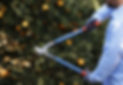 Screenshot 2025-01-12 at 15.21.22.png