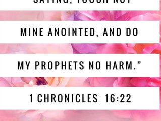 What does the Bible mean when it says, “not to touch God’s anointed?” (Conclusion)