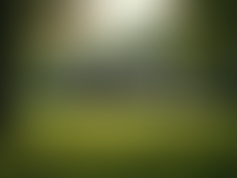 Discover the Beauty and Serenity of Alibag's Natural Resorts