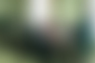 Выборы главы МО СП "Поселок Мятлево"