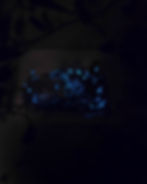 Thumbnail: Original Glow-in-the-Dark Ikran - Luminescent painting
