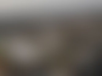 Juifs européens unis  e Mission