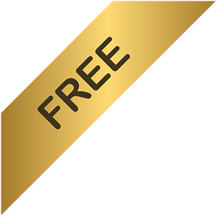 Martial arts training class at First 2 Strike Wollongong