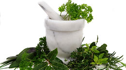 All Natural & Organic Dog Foods