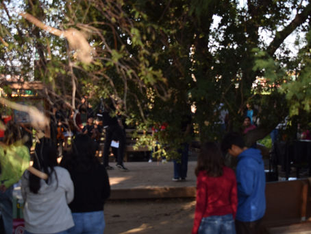 Fall Festival