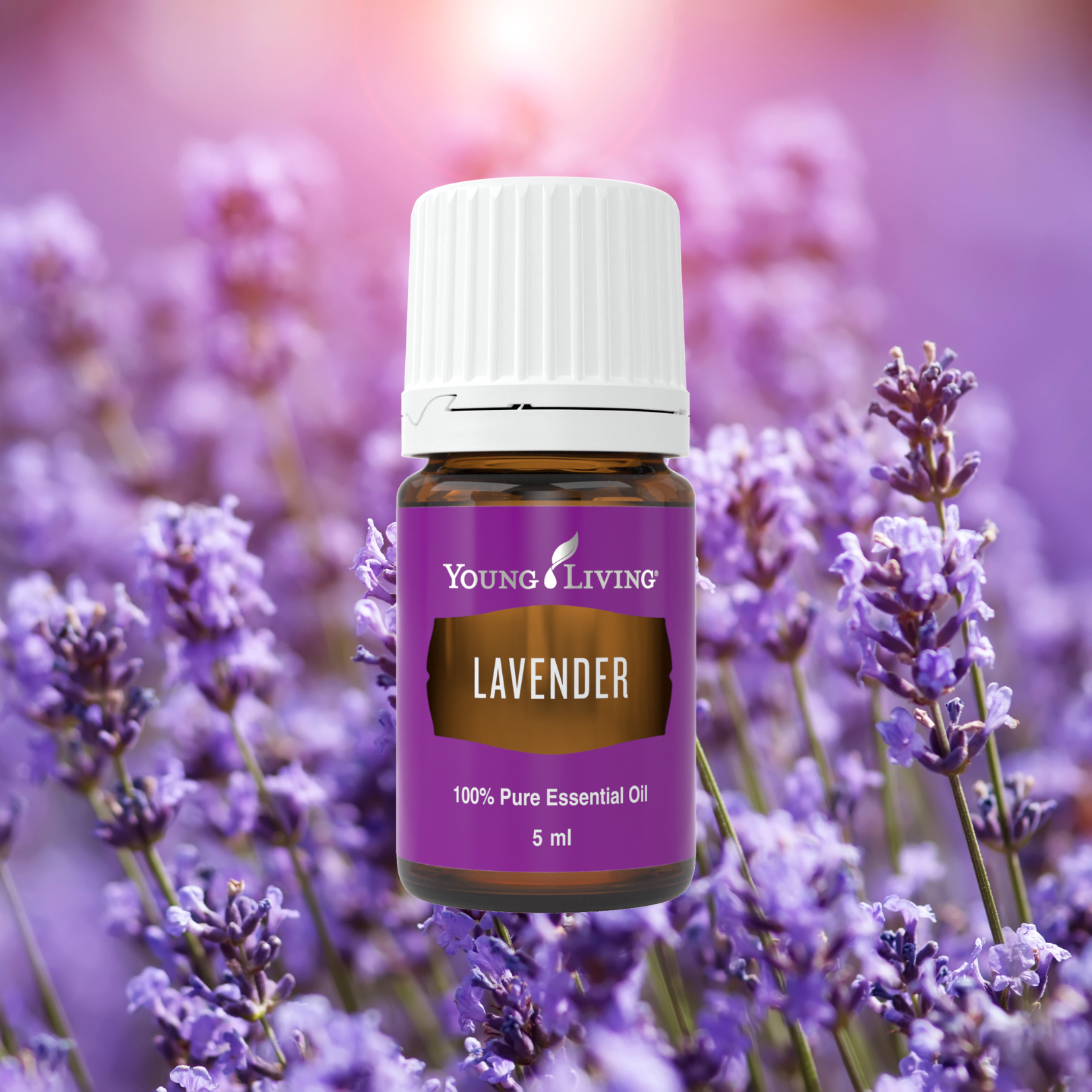 LAVENDER Essential Oil 5ml