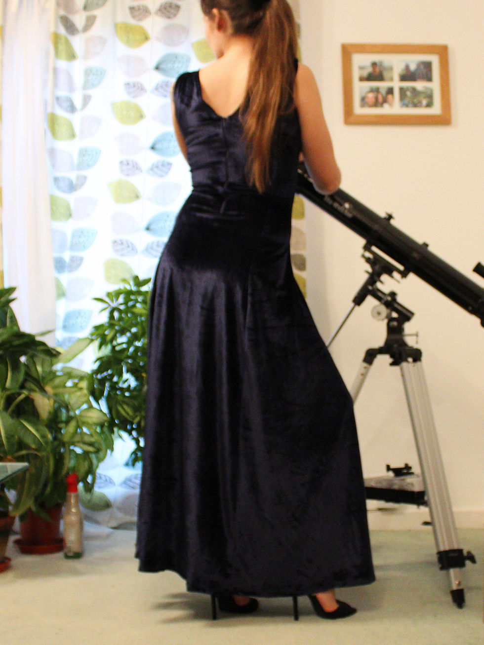 Lisa velvet evening dress