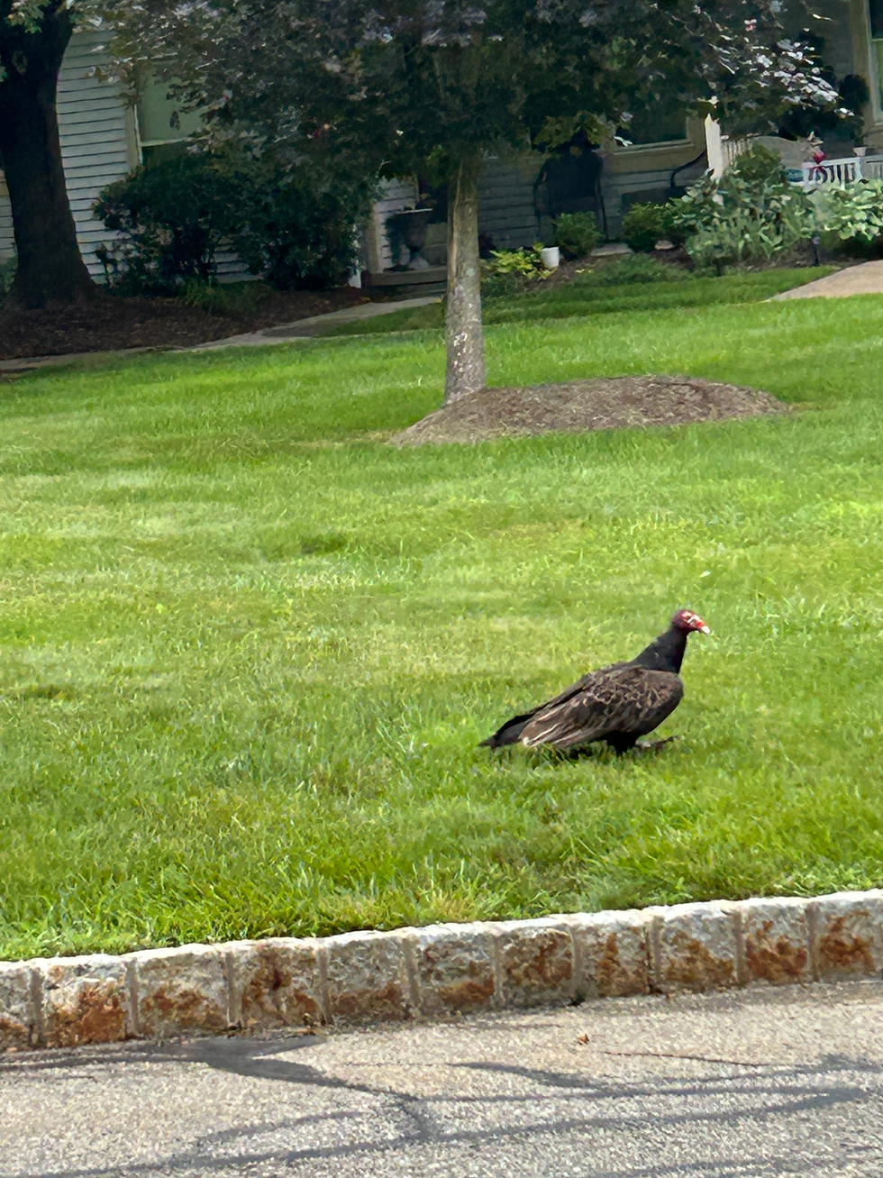 Wordless Wednesday - Friends