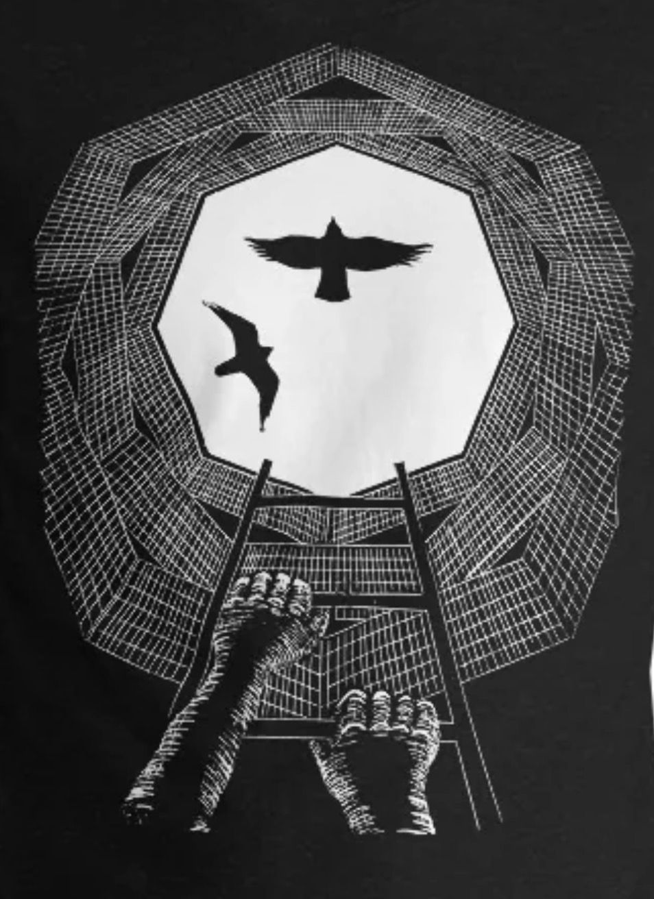 Epiphanies In the Middle of Chaos