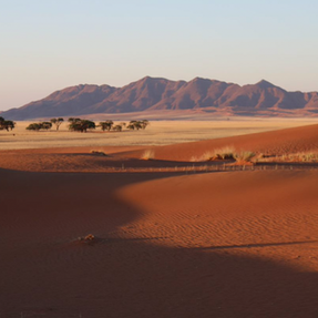 Naankuse Foundation - Kanaan Desert Retreat - desert landscape with mountains