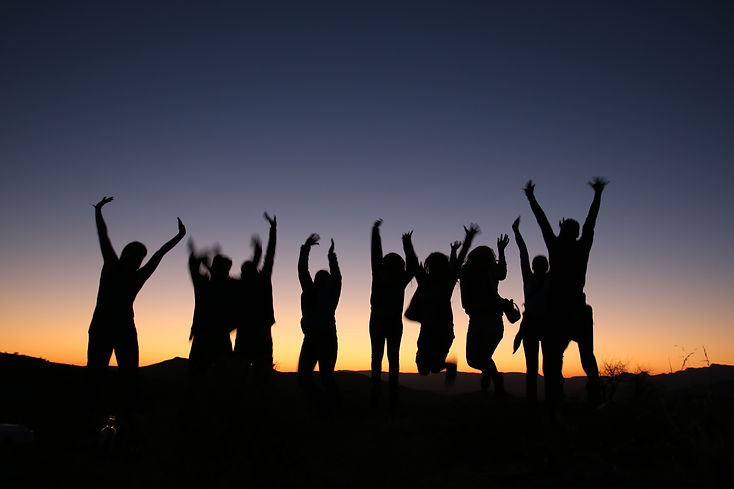 Volunteer Activity (2).jpeg