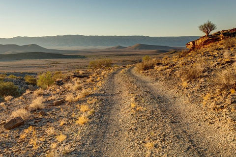Naankuse Foundation - Neuras Wine & Wildlife Estate - landscapt with dirt road