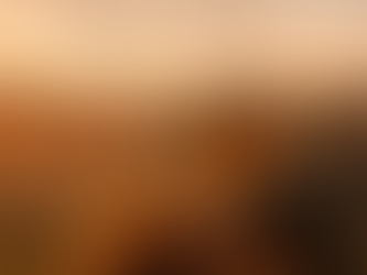 A veteran and horse observing the building of a new basecamp for veterans in Orrington, Maine