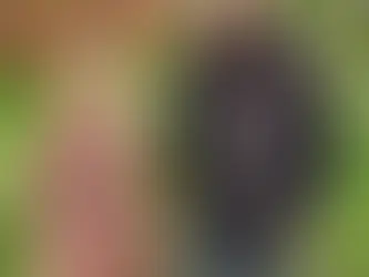 Caroline Ålum Solberg og Petter Simonsen på Østre Pavestad gård