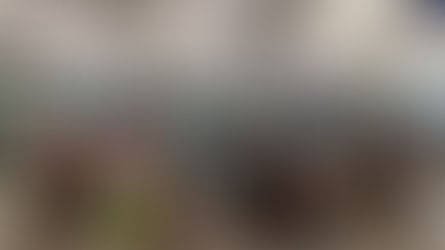 Cultural Immersion in Hangzhou - CSS X HGYS Sister School Exchange Programme 25/26