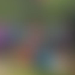 Sowing the Seeds of Sustainability