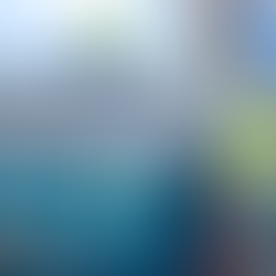 Travis Shines at Hong Kong Windsurfing Competition