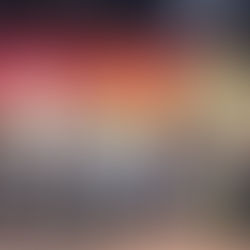 CSS Symphony Orchestra Awarded Bronze at the Joint School Music Competition