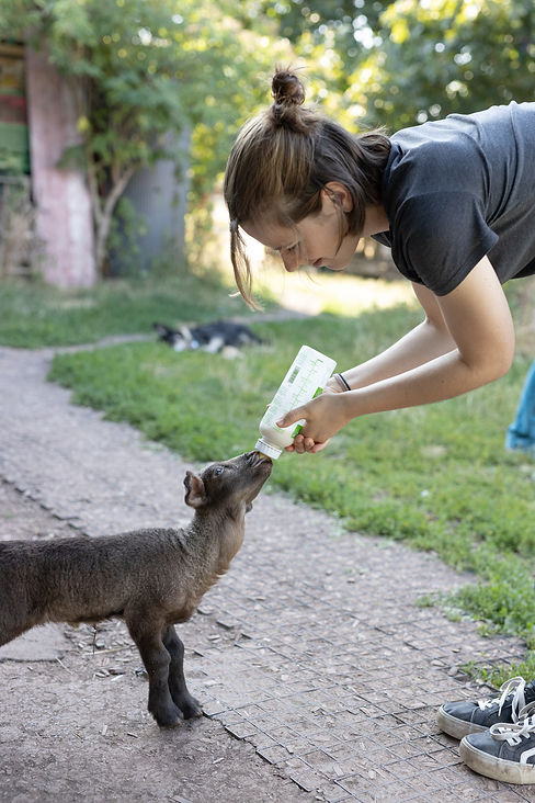 Lebenshof_Tierlieben_2023_web_379.jpg