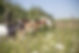 Lebenshof_Tierlieben_2023_web_661.jpg