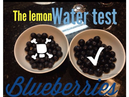 Lemon Water Test; Keeping Fruits Fresh Longer
