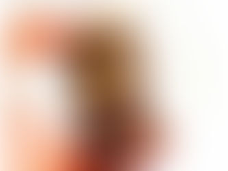 PROTEIN PEANUT BUTTER CUPS