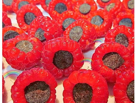 Chocolate Raspberry Bon Bon's