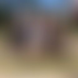 Støtteforeningen sælger vafler på årets kræmmermarked i Vorupør d. 5. - 7. august 2016