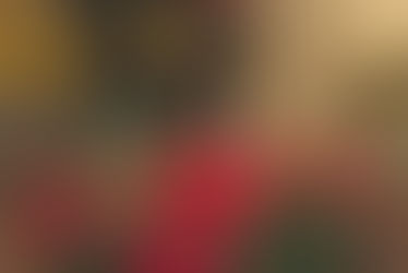 59 Christmas Ideas to Help Save the Environment