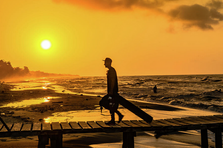 11,000 Scientists are Asking You for a Favor