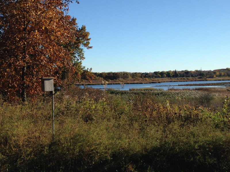 photo of Cherokee Marsh