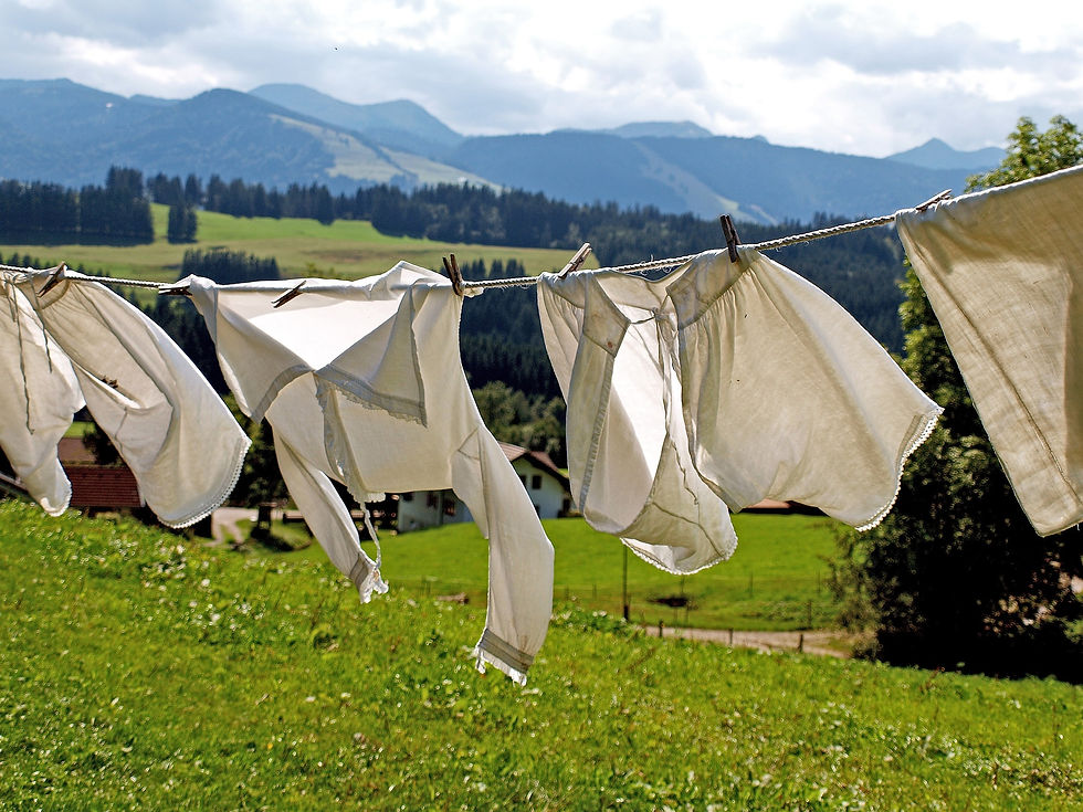 Laundry Line Outside