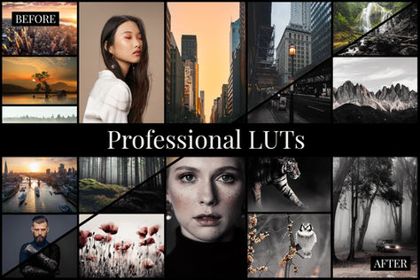 Master the Art of Photo Editing with powerful LUTs like a Pro.