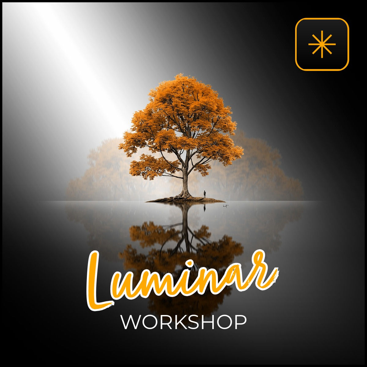 LUMINAR WORKSHOP FOR EVERYONE (DE/EN)