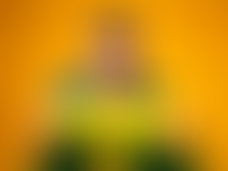 Funcionamento do comércio em dias de jogos do Brasil na Copa do Mundo