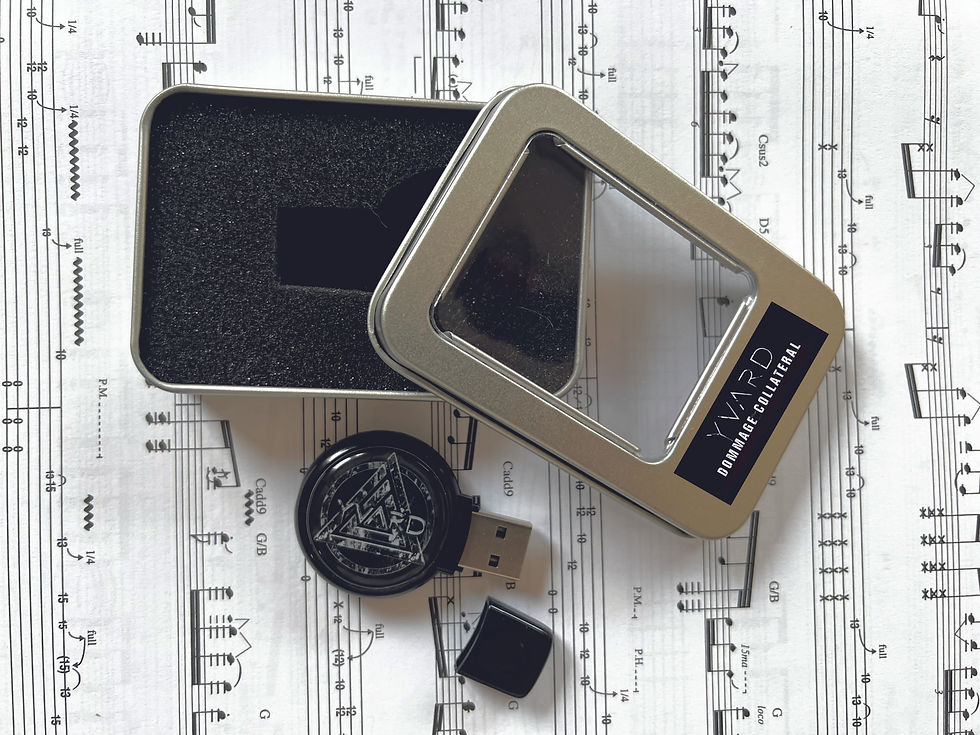 Miniature : Album DOMMAGE COLLATERAL - USB