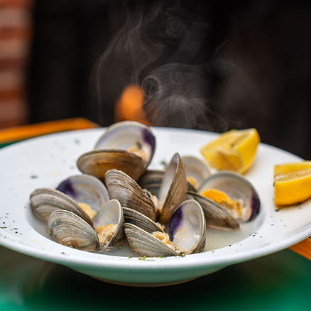 Clams 2_edited.jpg