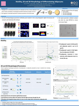Poster - Motility, 2D and 3D Morphology