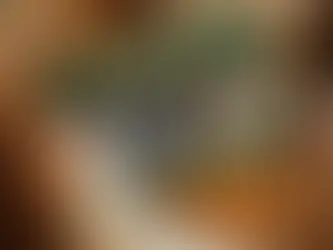 4 Alcohol Bottles in a package