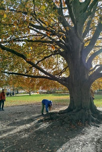 Malmö & Copenhagen - listening to Sonic Migrations. 27-10-2025