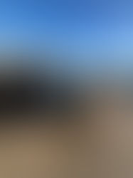 What Happens in a Free Waste Audit?