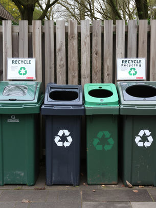 What Goes in Each Bin