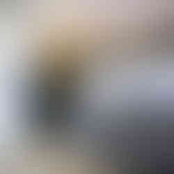 Changing Places toilet with the toilet and hoist visible to the left, shower in the centre of the back wall and adult changing bench on the right. There are high contrast grab rails and toilet seat. The back wall is covered with a full sized image of the Great Broad with water and trees in the background.