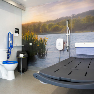 Changing Places toilet with the toilet and hoist visible to the left, shower in the centre of the back wall and adult changing bench on the right. There are high contrast grab rails and toilet seat. The back wall is covered with a full sized image of the Great Broad with water and trees in the background.