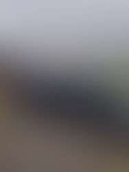 Nursery and Childcare Waste Sorted for Nature's Nook