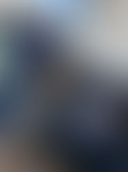 Why Working With an Upper-Tier Licensed Waste Carrier Matters - How Marshalls Waste Has You Covered