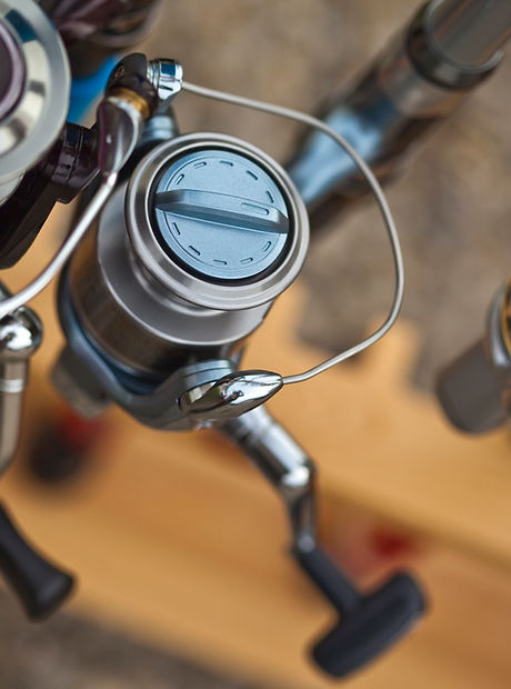 fishing rods