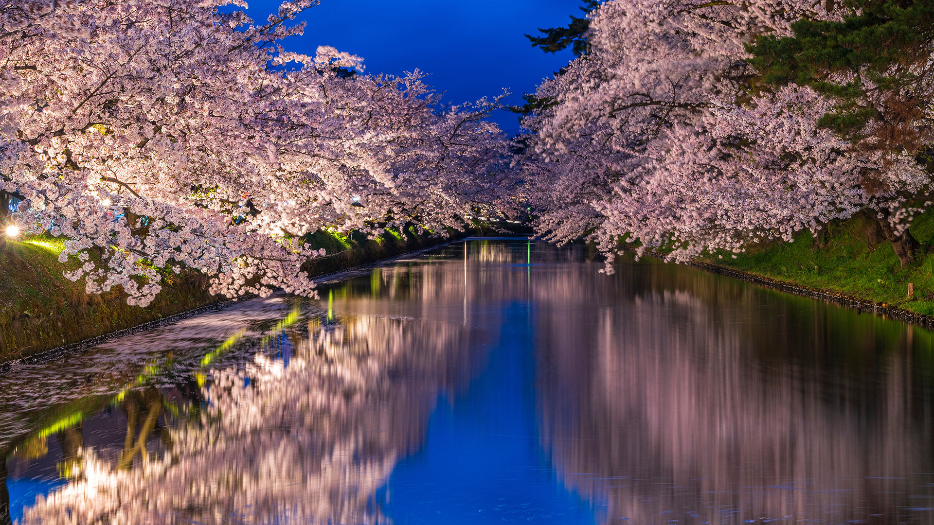 青森
