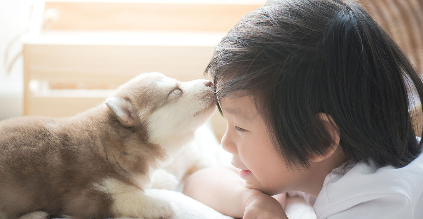 ペットと子供