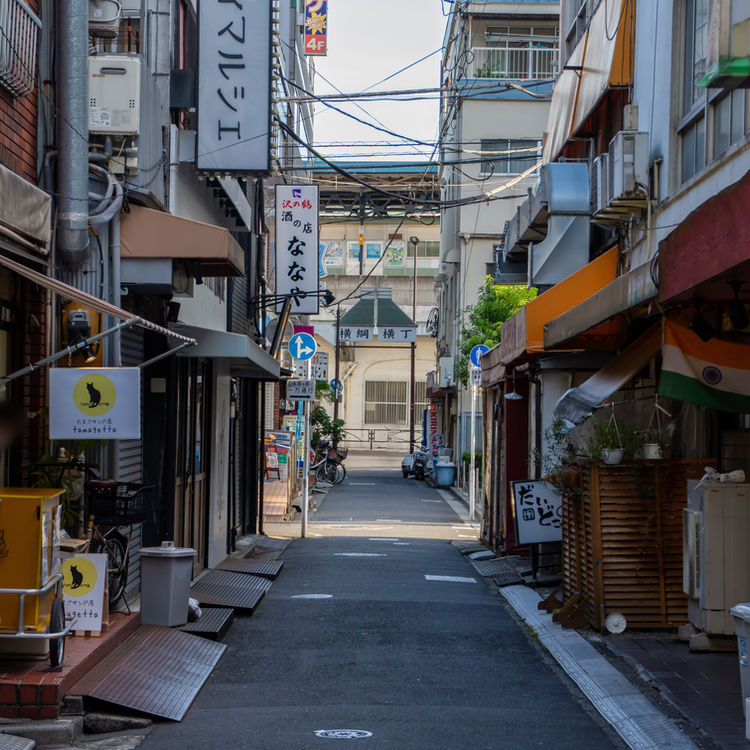 Ryogoku Yokozuna Yokocho